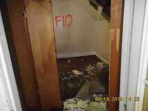 6534 Horatio (14)_m.jpg